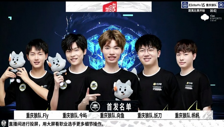 给我们提供