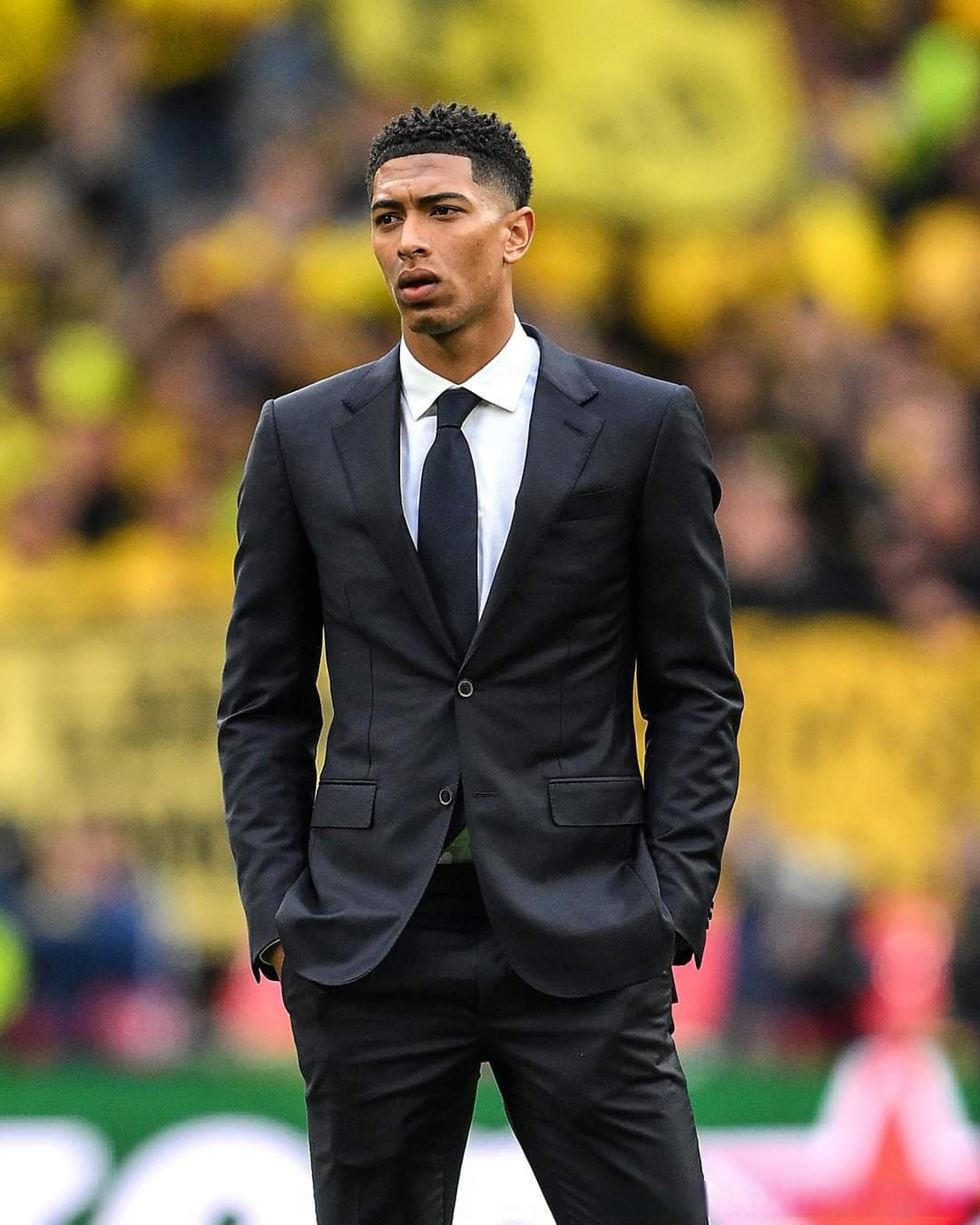 市场窗口波 市场窗口波