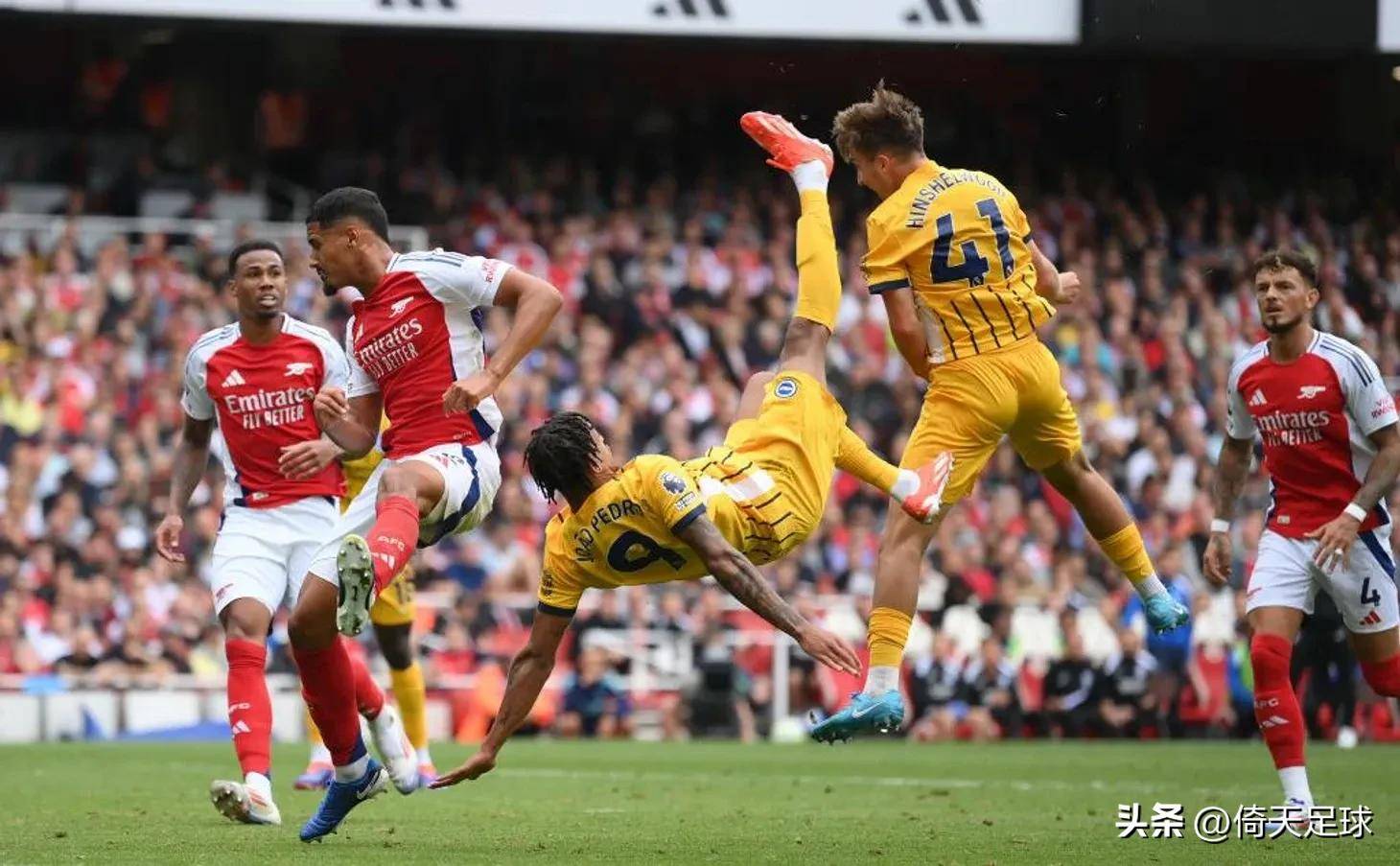 不只是他何 不只是他何