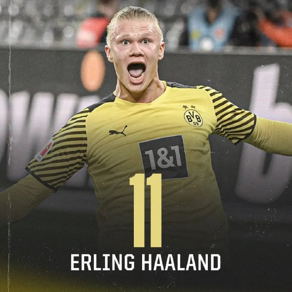 风格与体系 风格与体系